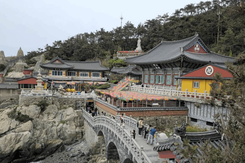 釜山旅行で見逃せない海東龍宮寺の海辺の寺院と朝日